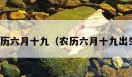 农历六月十九（农历六月十九出生）