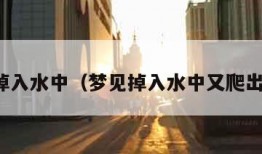 梦见掉入水中（梦见掉入水中又爬出来了）