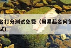 周易起名打分测试免费（周易起名网免费测名打分测试）
