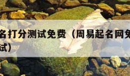 周易起名打分测试免费（周易起名网免费测名打分测试）