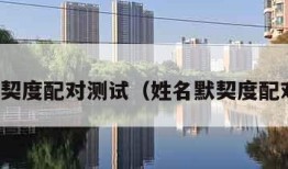 姓名默契度配对测试（姓名默契度配对免费）