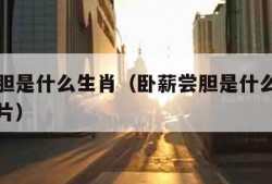 卧薪尝胆是什么生肖（卧薪尝胆是什么生肖动物呢图片）