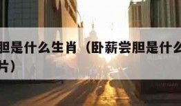 卧薪尝胆是什么生肖（卧薪尝胆是什么生肖动物呢图片）