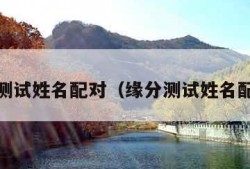 缘分测试姓名配对（缘分测试姓名配对9）