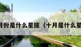 十二月份是什么星座（十月是什么星座呀）