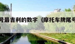 车牌尾号最吉利的数字（摩托车牌尾号最吉利的数字）