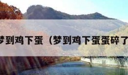 梦到鸡下蛋（梦到鸡下蛋蛋碎了）