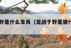 龙战于野是什么生肖（龙战于野是猜什么生肖）