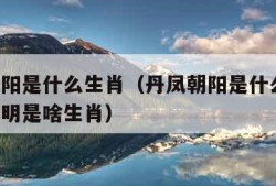 丹凤朝阳是什么生肖（丹凤朝阳是什么生肖,双目失明是啥生肖）