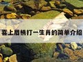 喜上眉梢打一生肖的简单介绍