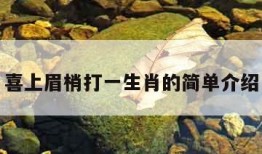 喜上眉梢打一生肖的简单介绍