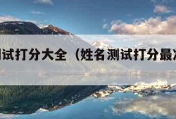 姓名测试打分大全（姓名测试打分最准确100）