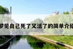 梦见自己死了又活了的简单介绍