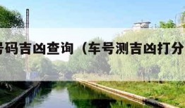 测车号码吉凶查询（车号测吉凶打分100免费）