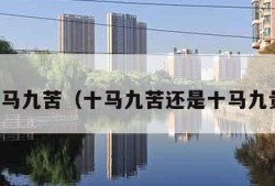 十马九苦（十马九苦还是十马九贵）