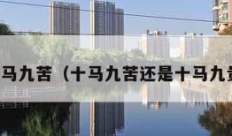 十马九苦（十马九苦还是十马九贵）