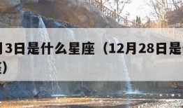 12月3日是什么星座（12月28日是什么星座）