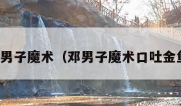 邓男子魔术（邓男子魔术口吐金鱼）