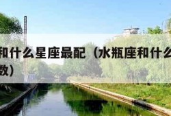 水瓶座和什么星座最配（水瓶座和什么星座最配对指数）