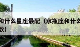 水瓶座和什么星座最配（水瓶座和什么星座最配对指数）