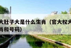 官大权大肚子大是什么生肖（官大权大肚子是什么生肖和号码）