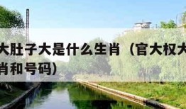 官大权大肚子大是什么生肖（官大权大肚子是什么生肖和号码）