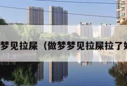 做梦梦见拉屎（做梦梦见拉屎拉了好多）