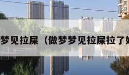 做梦梦见拉屎（做梦梦见拉屎拉了好多）
