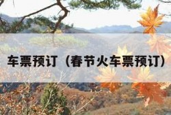 车票预订（春节火车票预订）
