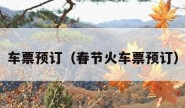 车票预订（春节火车票预订）