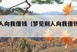 梦见别人向我借钱（梦见别人向我借钱我没借）