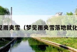 梦见雨夹雪（梦见雨夹雪落地就化了）