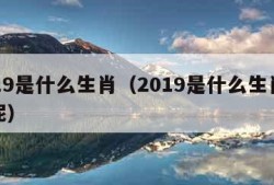 2019是什么生肖（2019是什么生肖年份呢）