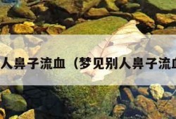 梦见别人鼻子流血（梦见别人鼻子流血不止）