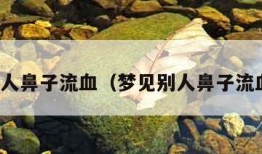 梦见别人鼻子流血（梦见别人鼻子流血不止）