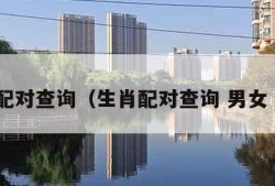 生肖配对查询（生肖配对查询 男女 婚姻）