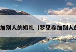 梦见参加别人的婚礼（梦见参加别人的婚礼）