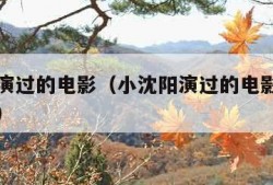 小沈阳演过的电影（小沈阳演过的电影有过十亿的吗）
