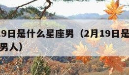 2月19日是什么星座男（2月19日是什么星座男人）