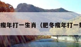 肥冬瘦年打一生肖（肥冬瘦年打一数字）