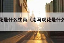 走马观花是什么生肖（走马观花是什么生肖打一肖）