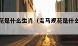 走马观花是什么生肖（走马观花是什么生肖打一肖）