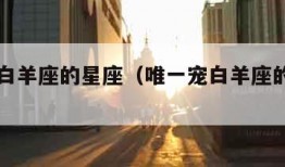 唯一宠白羊座的星座（唯一宠白羊座的星座男）