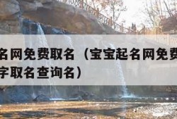 宝宝起名网免费取名（宝宝起名网免费取名字生辰八字取名查询名）