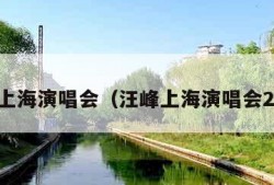 汪峰上海演唱会（汪峰上海演唱会2023）