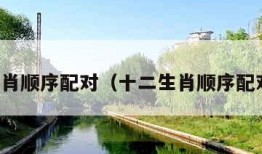 十二生肖顺序配对（十二生肖顺序配对表图）