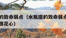 水瓶座的致命弱点（水瓶座的致命弱点你以为水瓶座很花心）