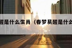 春梦易醒是什么生肖（春梦易醒是什么生肖呢）