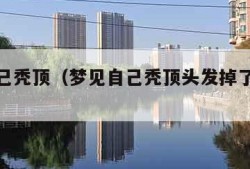 梦见自己秃顶（梦见自己秃顶头发掉了一大块）