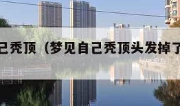 梦见自己秃顶（梦见自己秃顶头发掉了一大块）